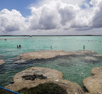 Cenote Cocalitos