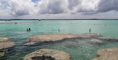 Cenote Cocalitos