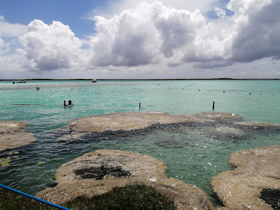 Cenote Cocalitos