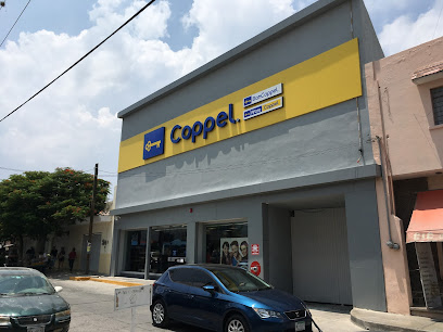 Coppel Amonaario Díaz De León