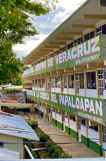 Instituto Educativo de la Cuenca del Papaloapan