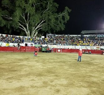 plaza de toros la morena