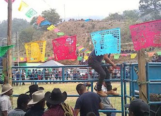 Palo dé lima San Lorenzo Texmelucan