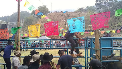 Palo dé lima San Lorenzo Texmelucan