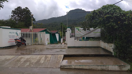 Colegio de Estudios Científicos y Tecnológicos Plantel 37