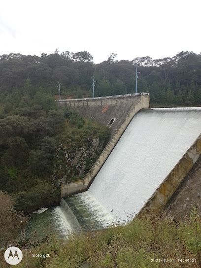 Presa de Tepetitlán