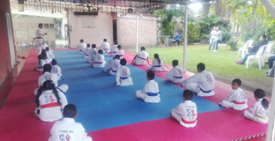 Club Oficial de Taekwondo Yong Ho de Comonfort