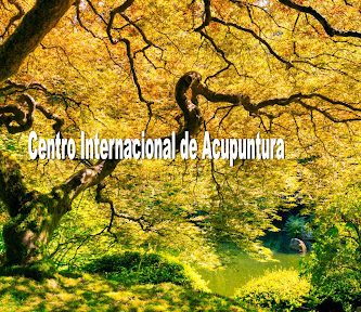 CENTRO INTERNACIONAL DE ACUPUNTURA