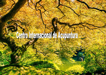 CENTRO INTERNACIONAL DE ACUPUNTURA