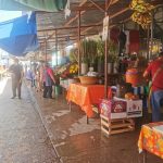 Mercado de Zimatlán de Alvarez