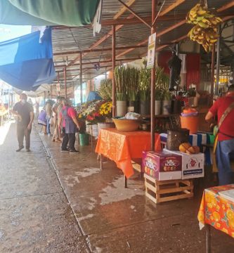 Mercado de Zimatlán de Alvarez