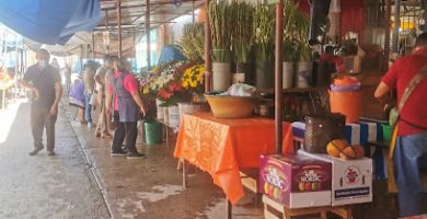 Mercado de Zimatlán de Alvarez