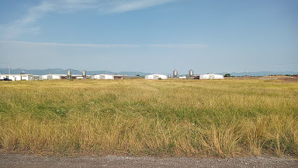 Granja Bachoco. Vallecillo 1