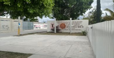 Escuela Secundaria Técnica Número 41