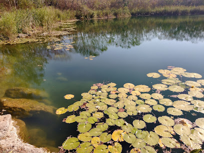 Cenote Chen-Há