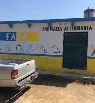 veterinaria 2 hermanas