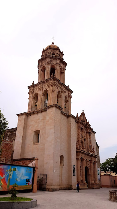 Municipio de Sayula Jalisco