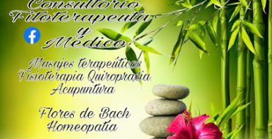 Consultorio Fitoterapeuta y Médico