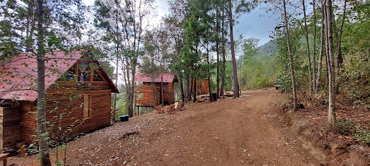 Cabañas en el Bosque de San José del Pacífico