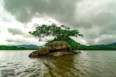 Isla de los monos