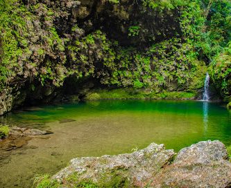 La Poza Verde