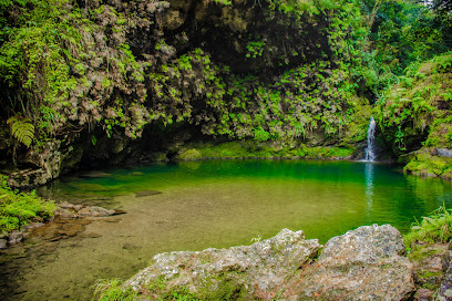 La Poza Verde