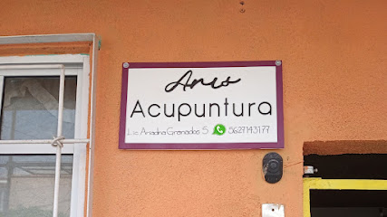 Aris Acupuntura