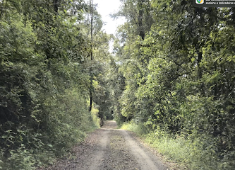 Aryavana Centro de Retiros