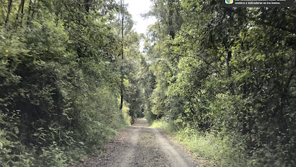 Aryavana Centro de Retiros