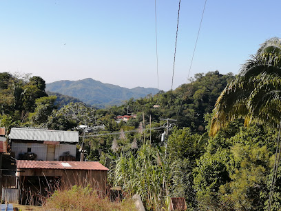 BuenaVista Loxicha