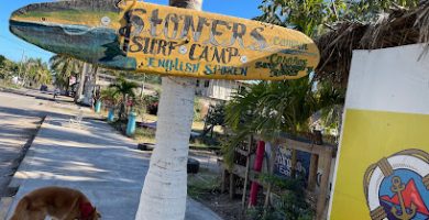 Stoners surf camp