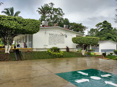 Colegio De Bachilleres Del Estado De Veracruz Plantel 31 Sayula De Aleman