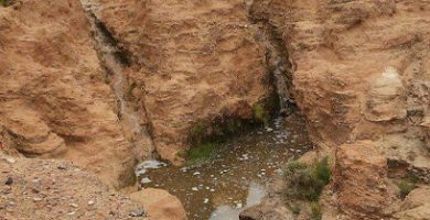 Presa De Santa Gertrudis