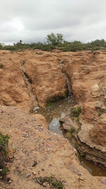 Presa De Santa Gertrudis