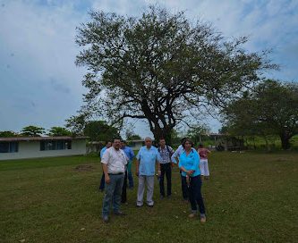 Universidad Autónoma de Chiapas: Facultad Maya de Estudios Agropecuarios