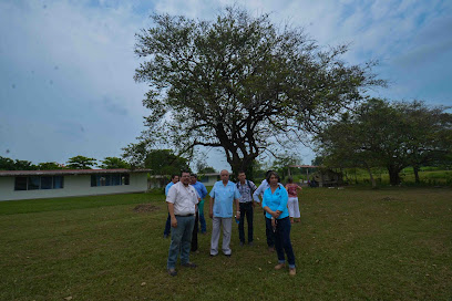 Universidad Autónoma de Chiapas: Facultad Maya de Estudios Agropecuarios