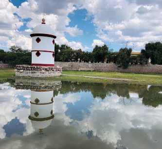 Palomar Salinas De Hidalgo