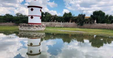 Palomar Salinas De Hidalgo