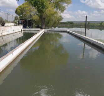 Centro Acuicola La Boquilla