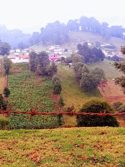 Tejocotal