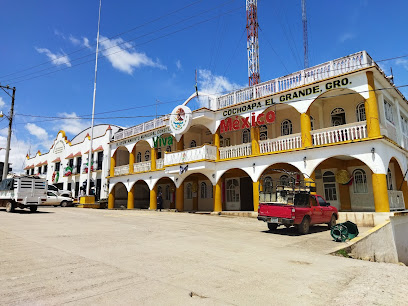 H. Ayuntamiento Municipal Cochoapa el Grande