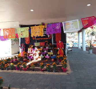 Nuevo Xochimilco