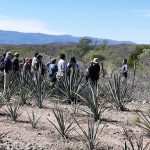 Rancho Los Coronados