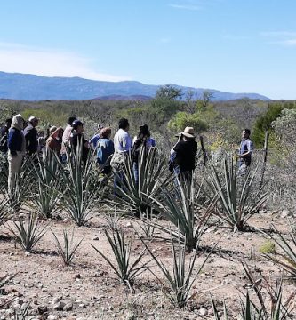 Rancho Los Coronados