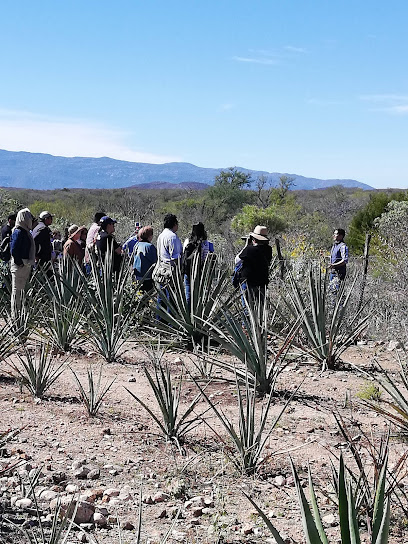 Rancho Los Coronados