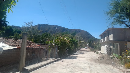 San Miguel Carrizal