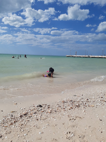 Playa Sur Celestún