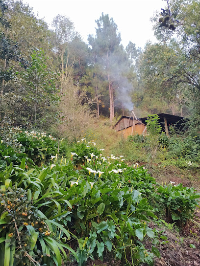 Rancho Molino Antiguo