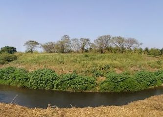 Rio Los Mangos