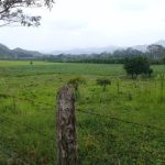 Piedra Grande El Guayabo